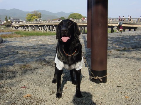 a0090313_20505231.jpg