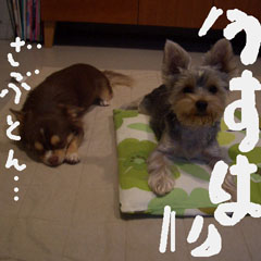 c0036617_2115678.jpg