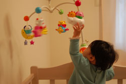 c0042319_1183677.jpg