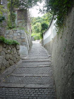 c0007822_843565.jpg