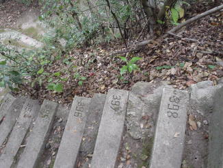 c0007822_8483546.jpg