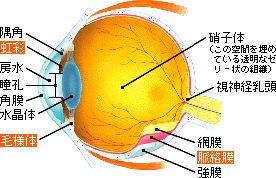 a0047723_11274166.jpg