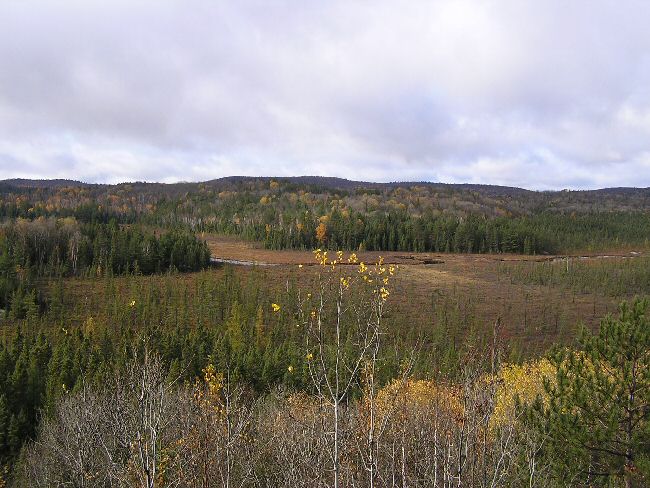 a0027125_6323282.jpg