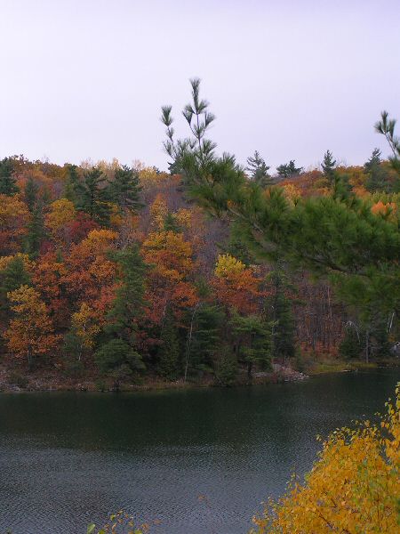 a0027125_6365225.jpg
