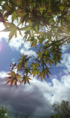 b0082834_16403543.jpg