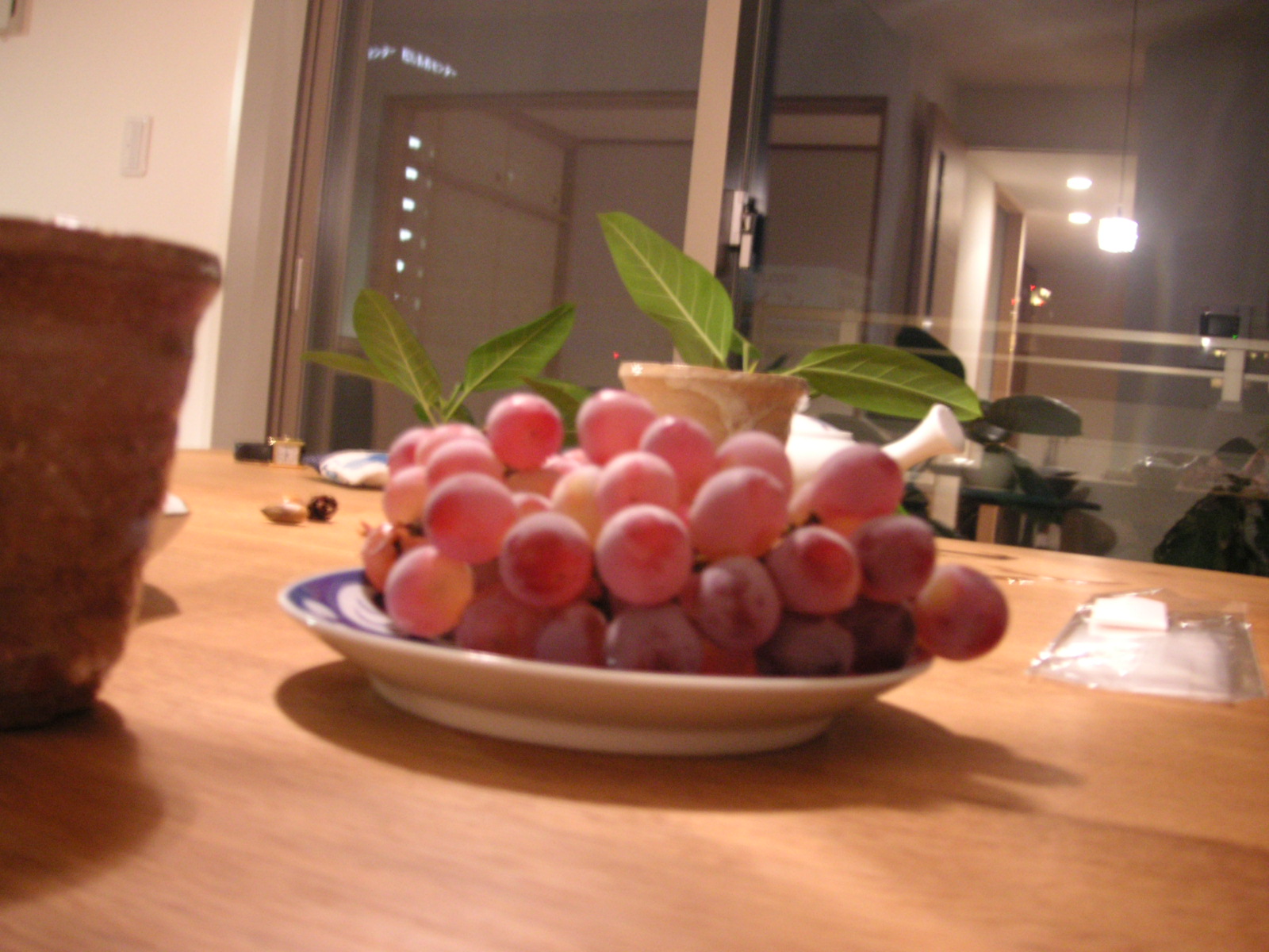 f0090039_0174655.jpg