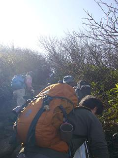 f0065941_1820696.jpg