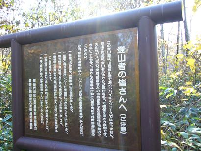 f0065941_185624.jpg