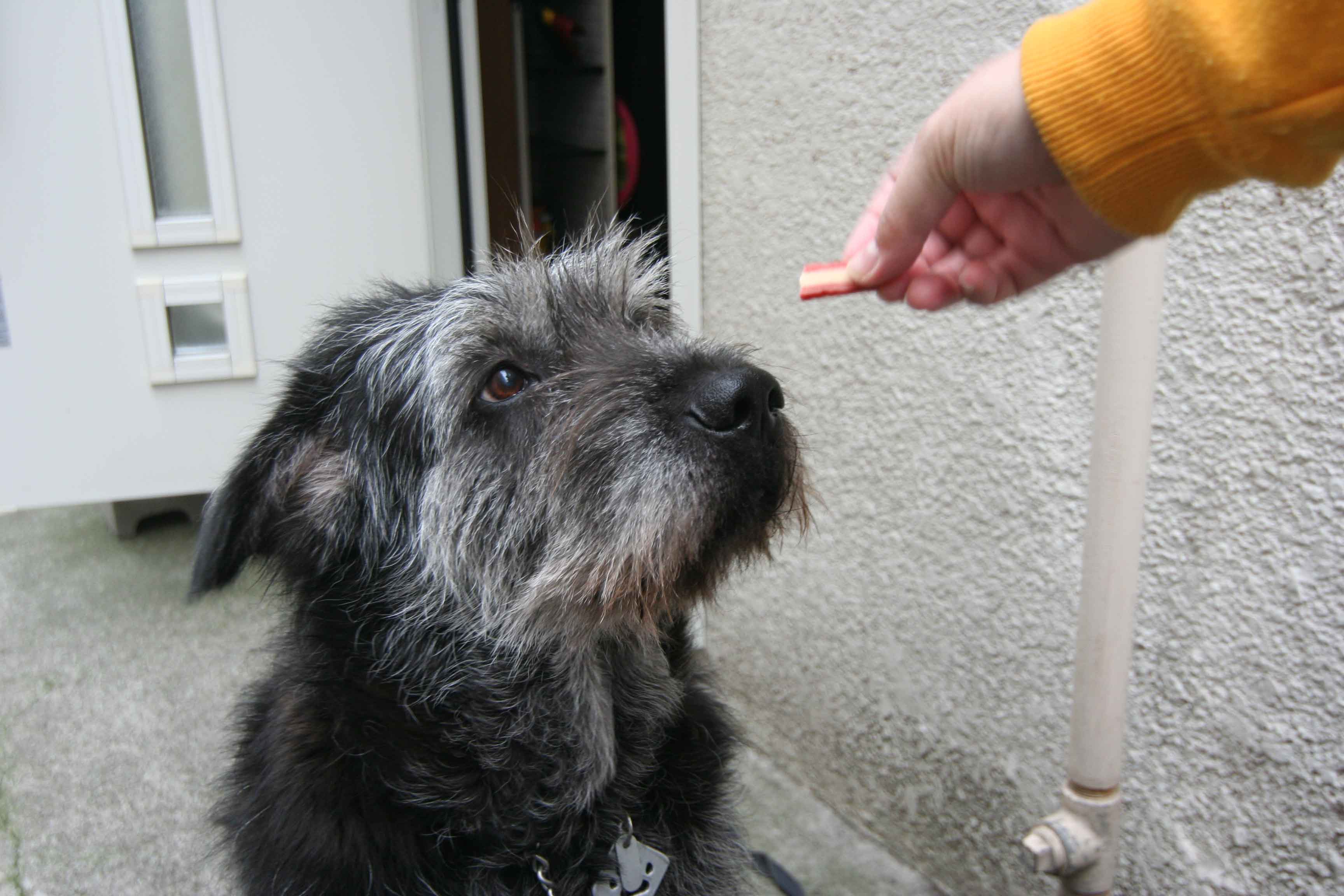 d0006253_0574989.jpg