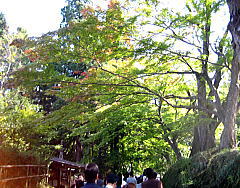 d0031853_11455083.jpg