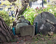d0031853_11464370.jpg