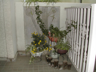a0088456_18342664.jpg
