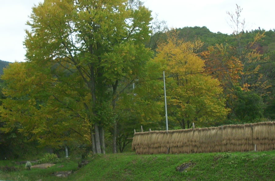 a0029157_13572328.jpg