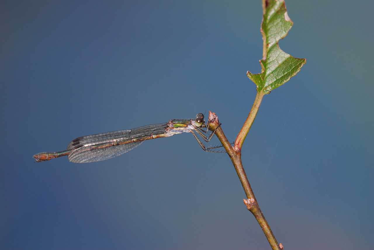 f0055257_2012376.jpg