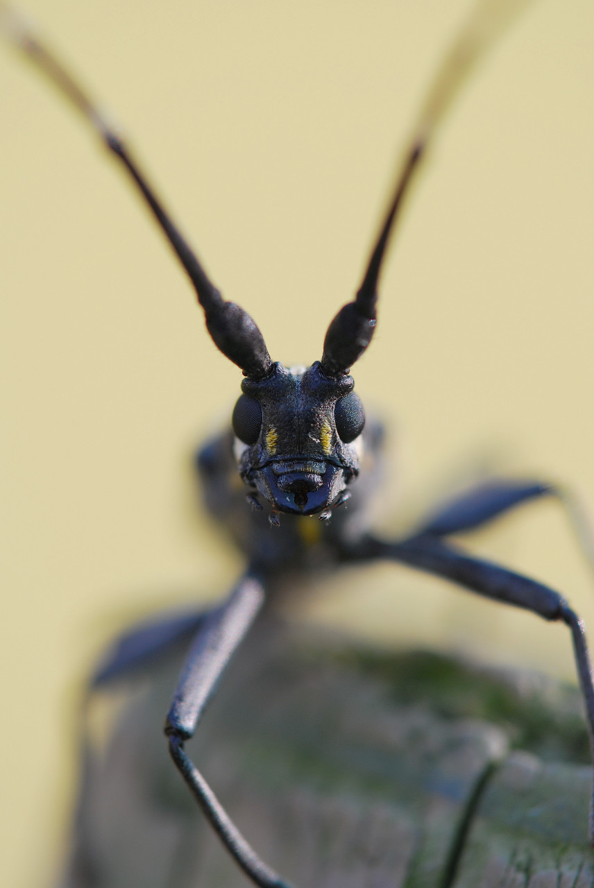 f0055257_20153177.jpg