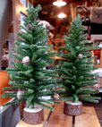 d0029958_1932539.jpg
