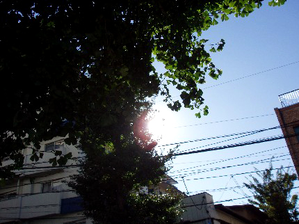 b0060071_2345912.jpg