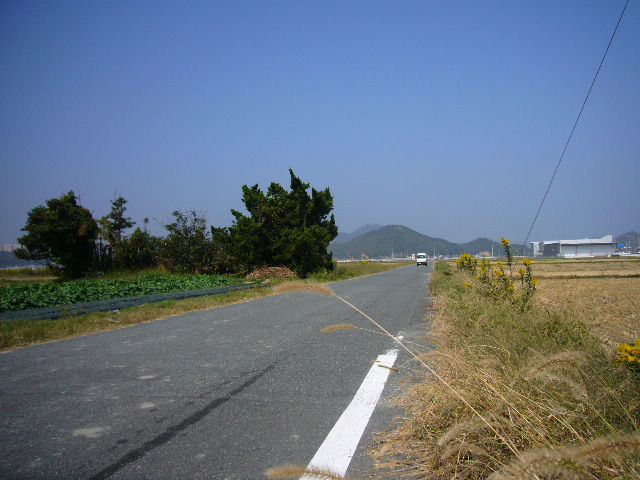 d0075582_0373289.jpg