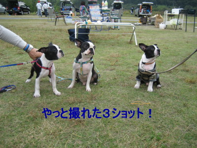 c0092787_12385114.jpg