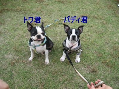 c0092787_1238870.jpg