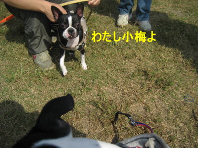 c0092787_12541640.jpg