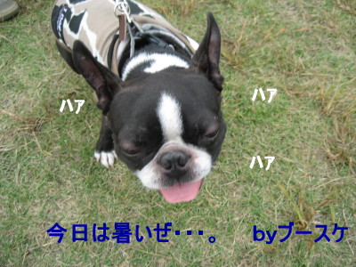 c0092787_12543752.jpg