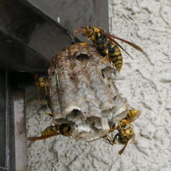 b0026388_143751100.jpg