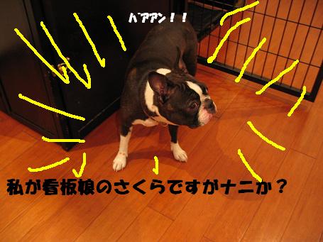 c0092097_23532063.jpg