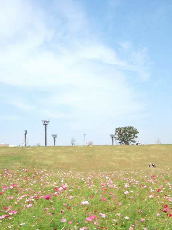 f0056698_1141535.jpg