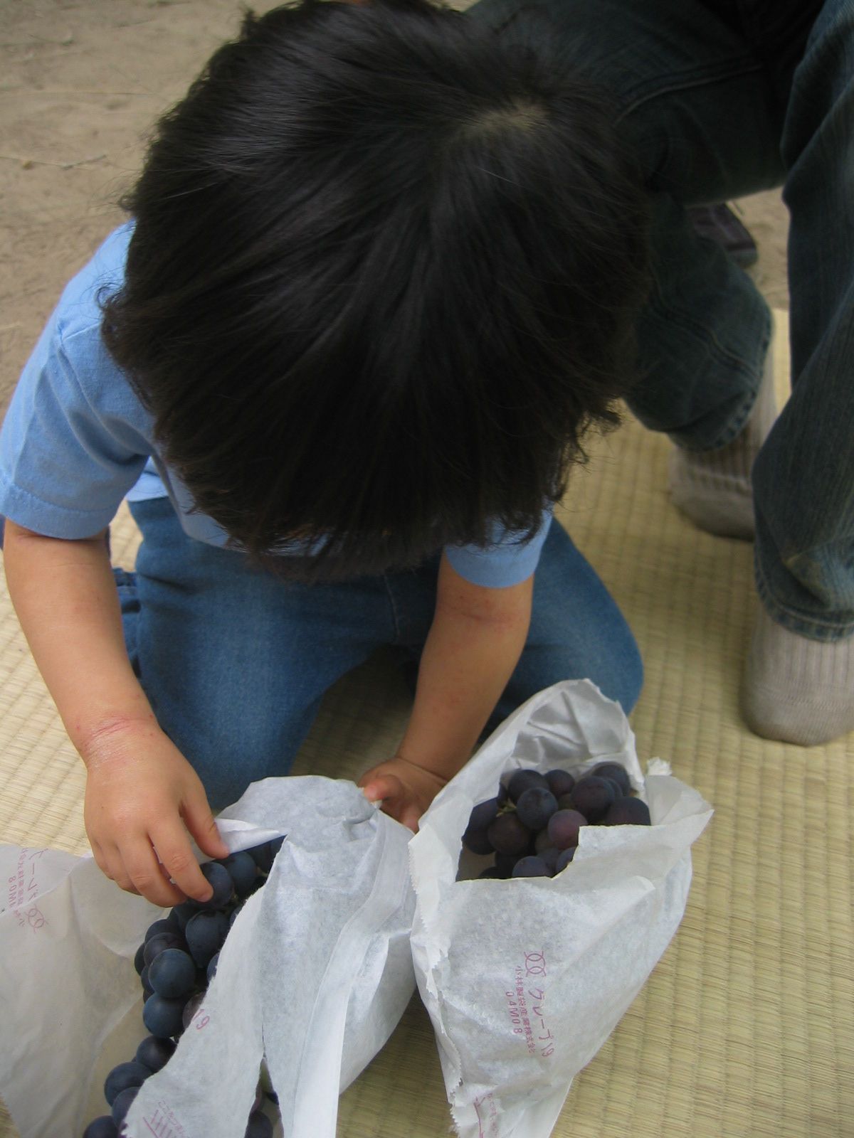 a0062400_17593897.jpg
