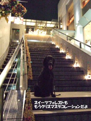 c0050400_2354278.jpg