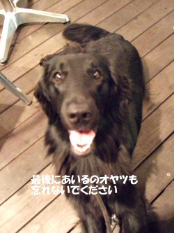 c0050400_23553067.jpg
