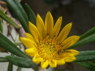 b0061107_2311362.jpg