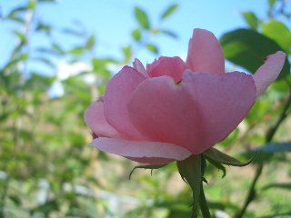 b0061107_23142777.jpg