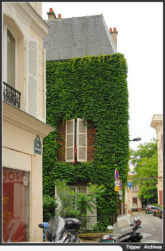 f0080510_732262.jpg