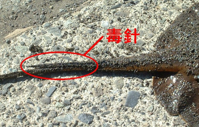 e0047026_2211812.jpg