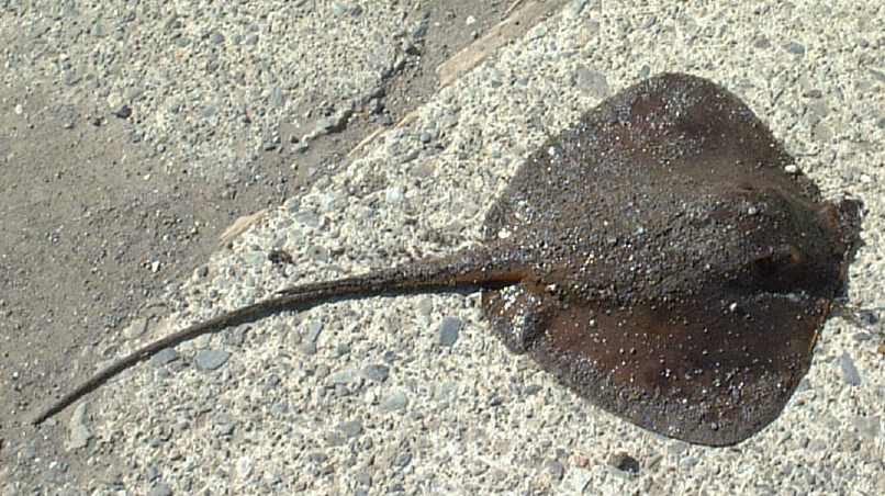 e0047026_229044.jpg