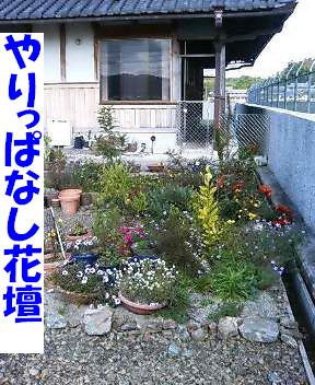 e0065928_1414289.jpg