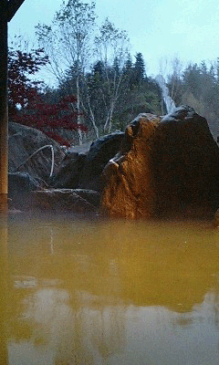 d0069235_2301423.gif