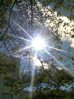b0062337_23244026.jpg