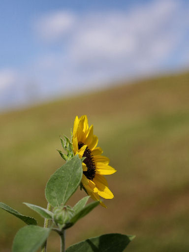 c0032138_9203331.jpg