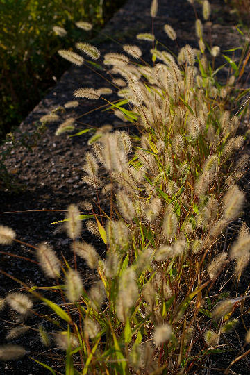 c0032138_9215146.jpg