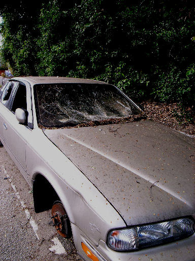 c0032138_9221735.jpg