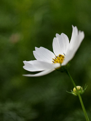 c0032138_9241465.jpg
