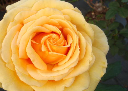 c0093339_222973.jpg