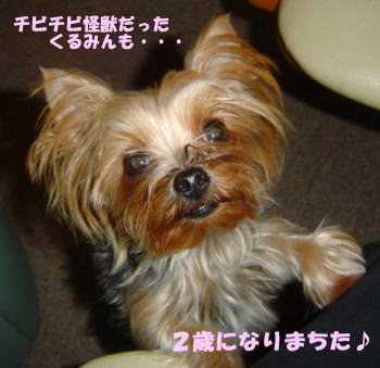 b0001440_14515573.jpg