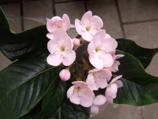 c0023545_22103070.jpg