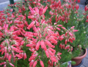 c0023545_22105211.jpg