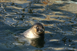 e0080452_3241570.jpg