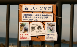 e0080452_3243527.jpg